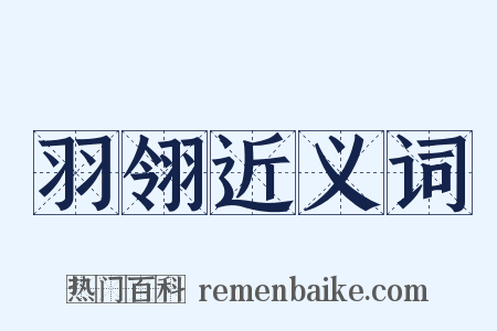 羽翎近义词是什么意思的图片